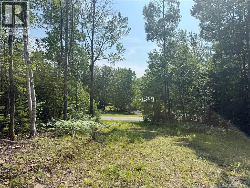 306 Bridge Street Property Photo 5