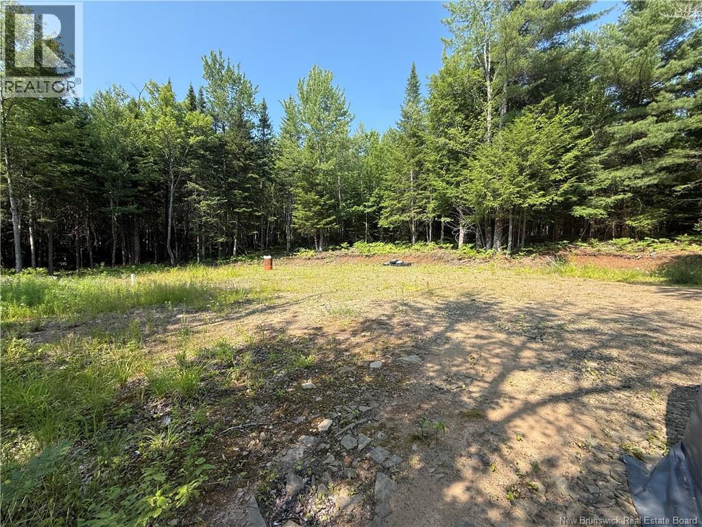 306 Bridge Street Property Photo 14