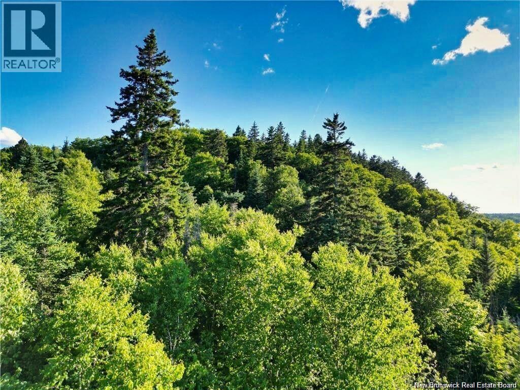 Lot 85-59 Bayview Drive Property Photo 3