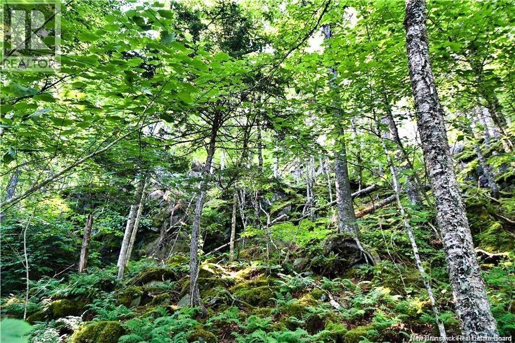 Lot 85-59 Bayview Drive Property Photo 6