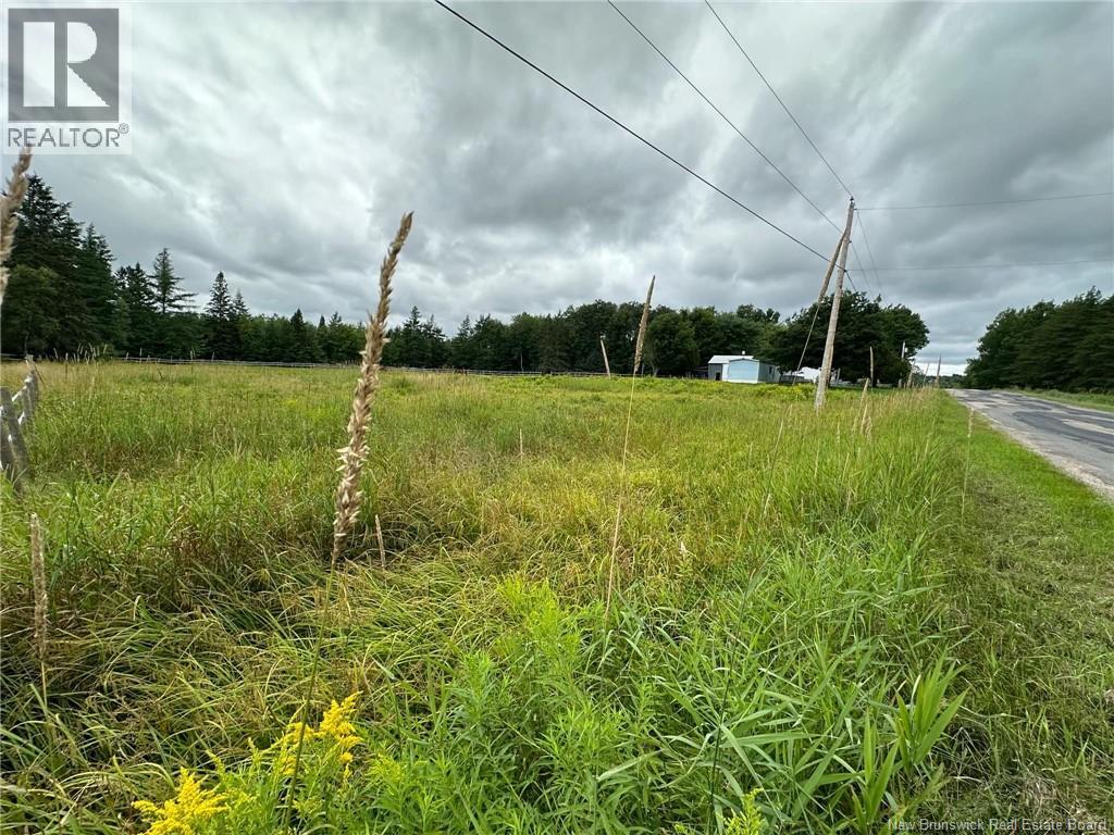 Collina Road Property Photo 3