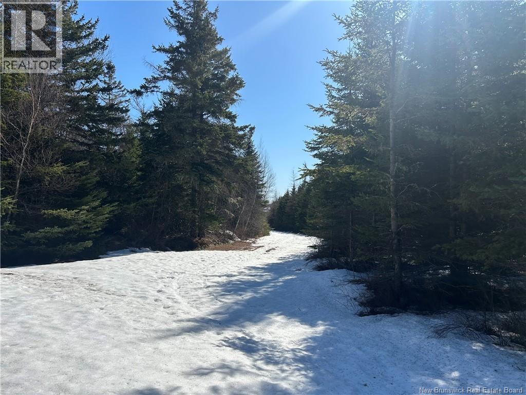 Route 860 Property Photo 3