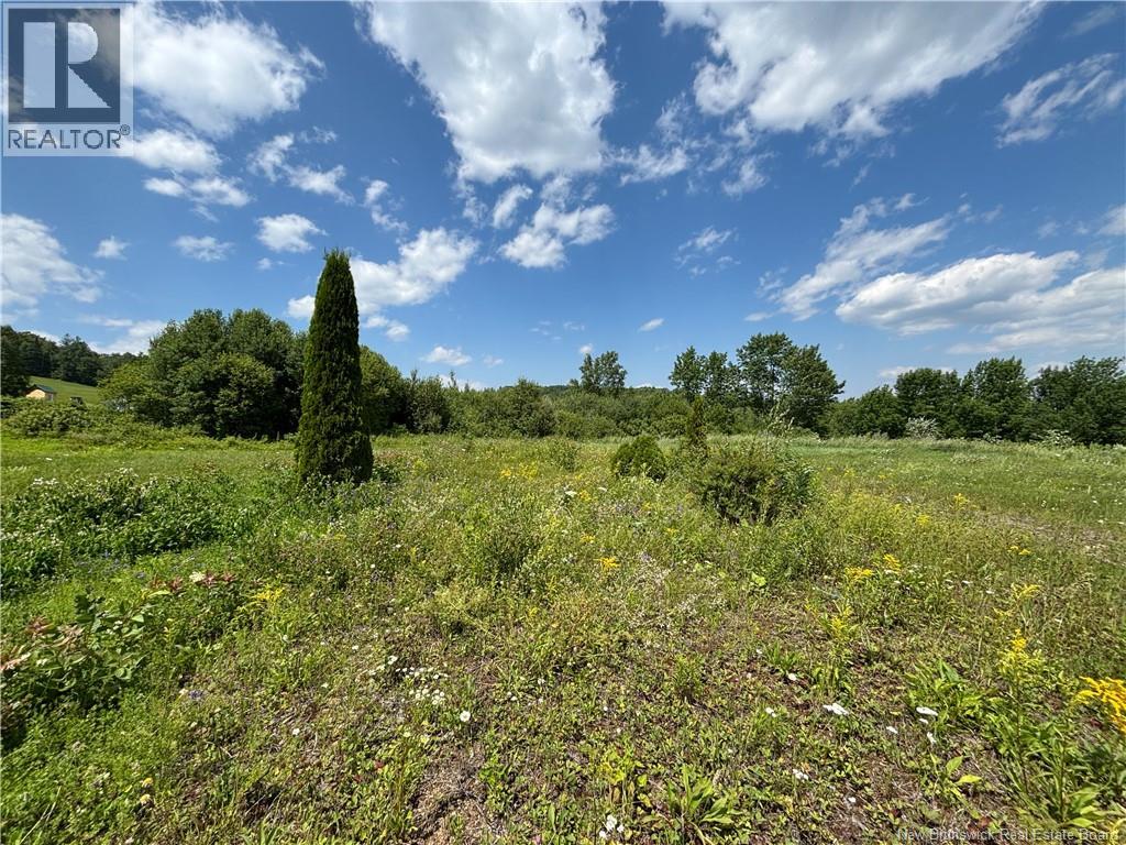 Lot 0 Scott Road Property Photo 6