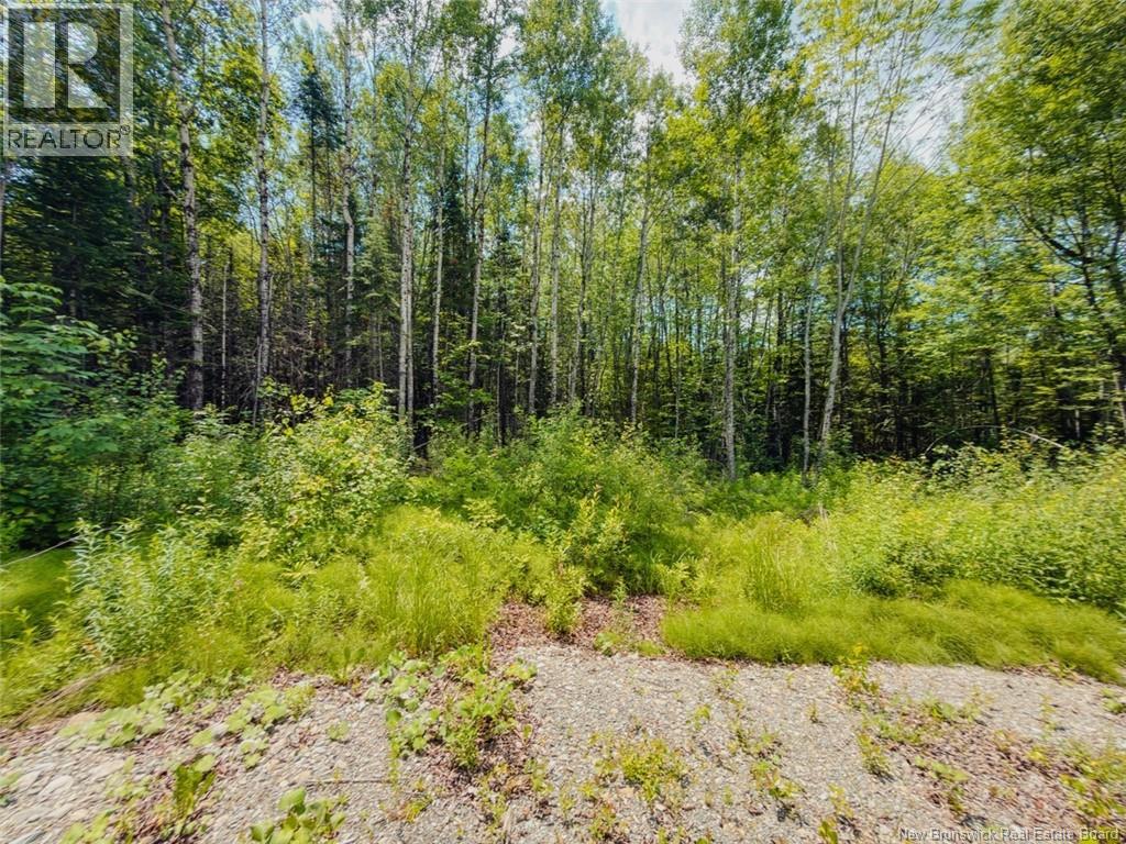 5 Beech Street Property Photo 23