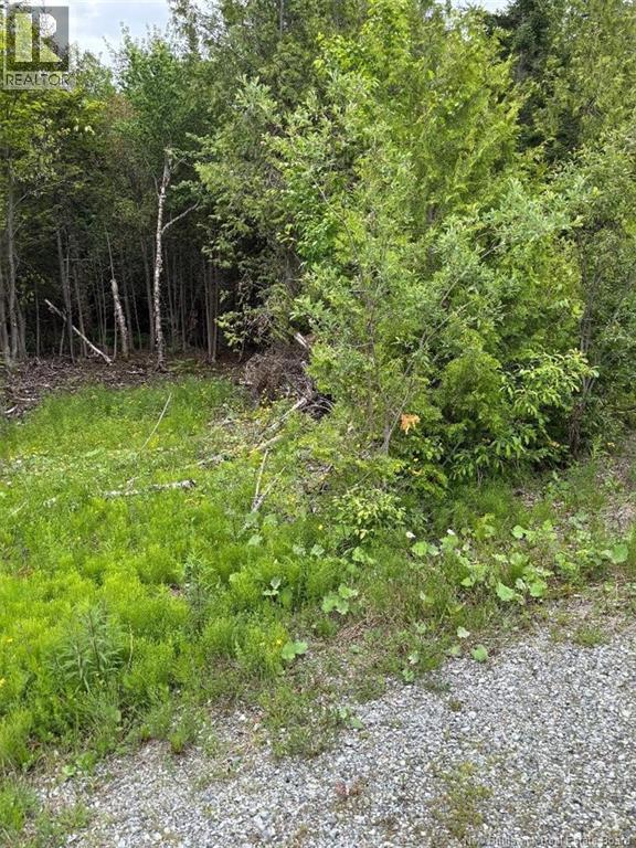 A-32 Deer Glen Drive Property Photo 1