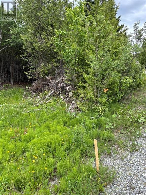 A-32 Deer Glen Drive Property Photo 2