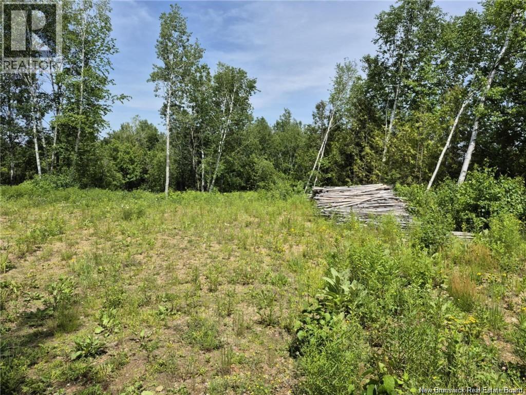 1 Acres Rue Amos