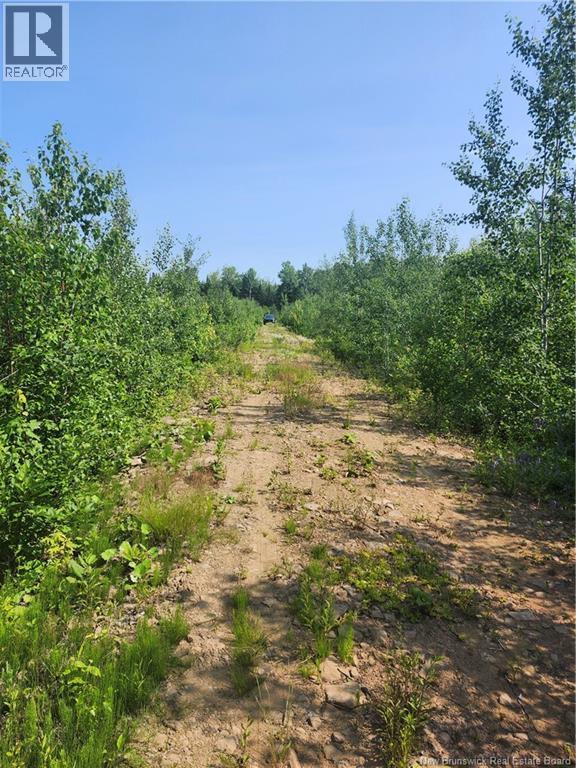 Lot 116 Highway Property Photo 2