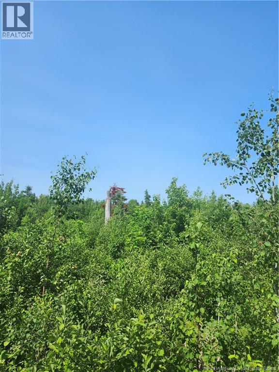 Lot 116 Highway Property Photo 3