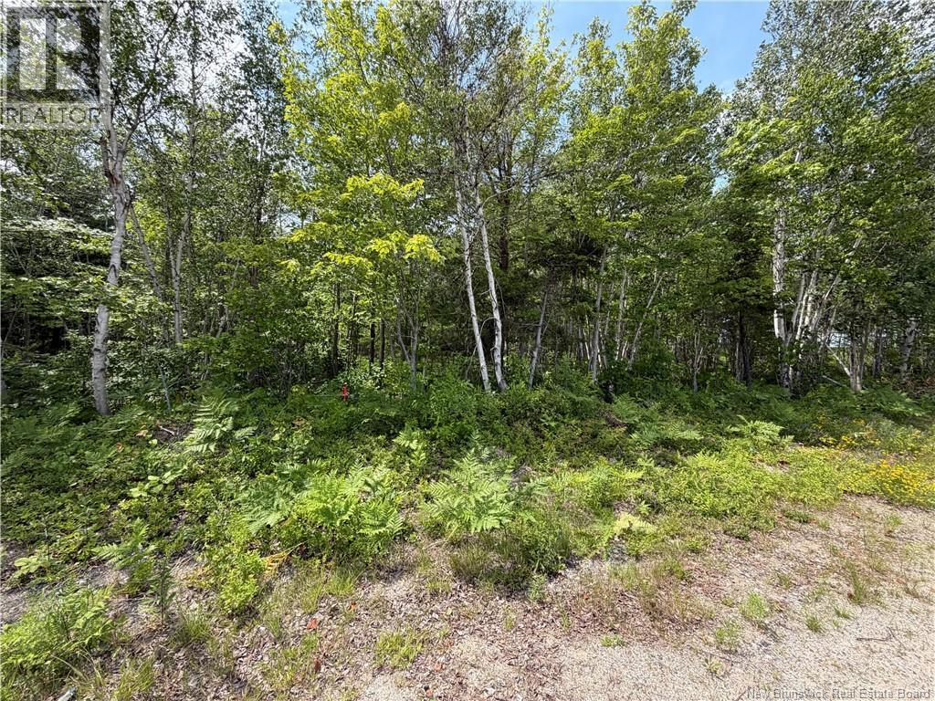 Lot 3 O'keefe Property Photo 1