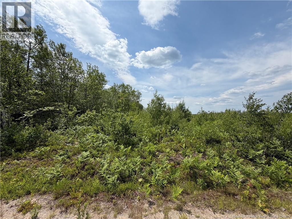 Lot 3 O'keefe Property Photo 2