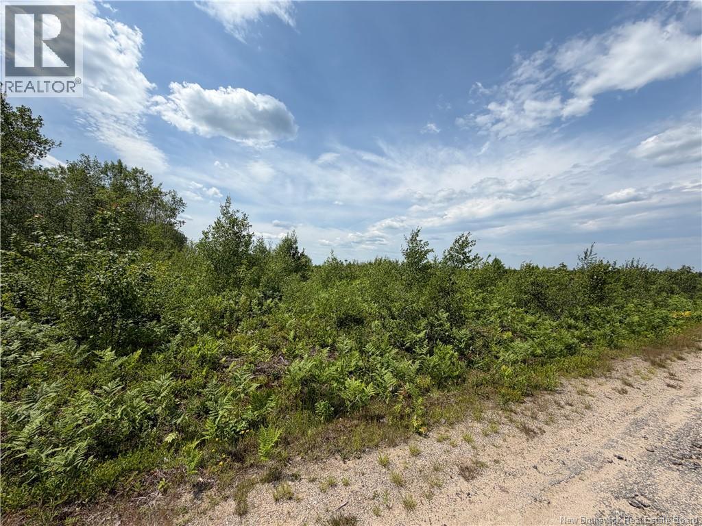 Lot 4 O'keefe Road Property Photo 1
