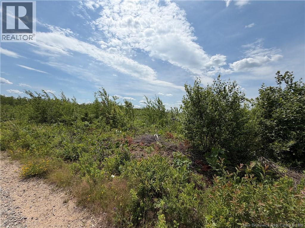 Lot 4 O'keefe Road Property Photo 2