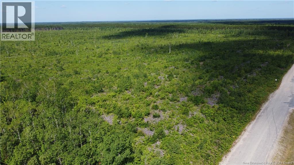 Lot 4 O'keefe Road Property Photo 5