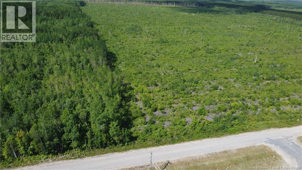 Lot 4 O'keefe Road Property Photo 6