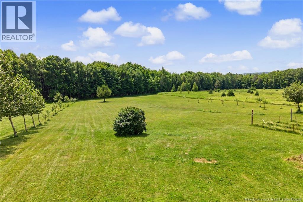 225 Jamieson Road Property Photo 41