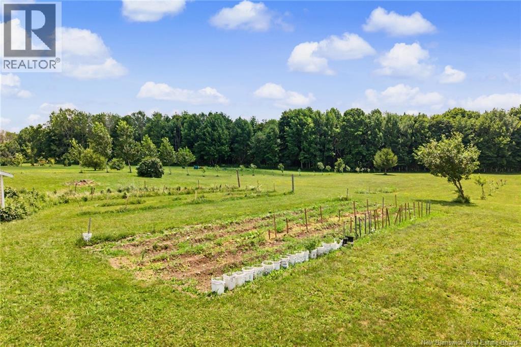 225 Jamieson Road Property Photo 42