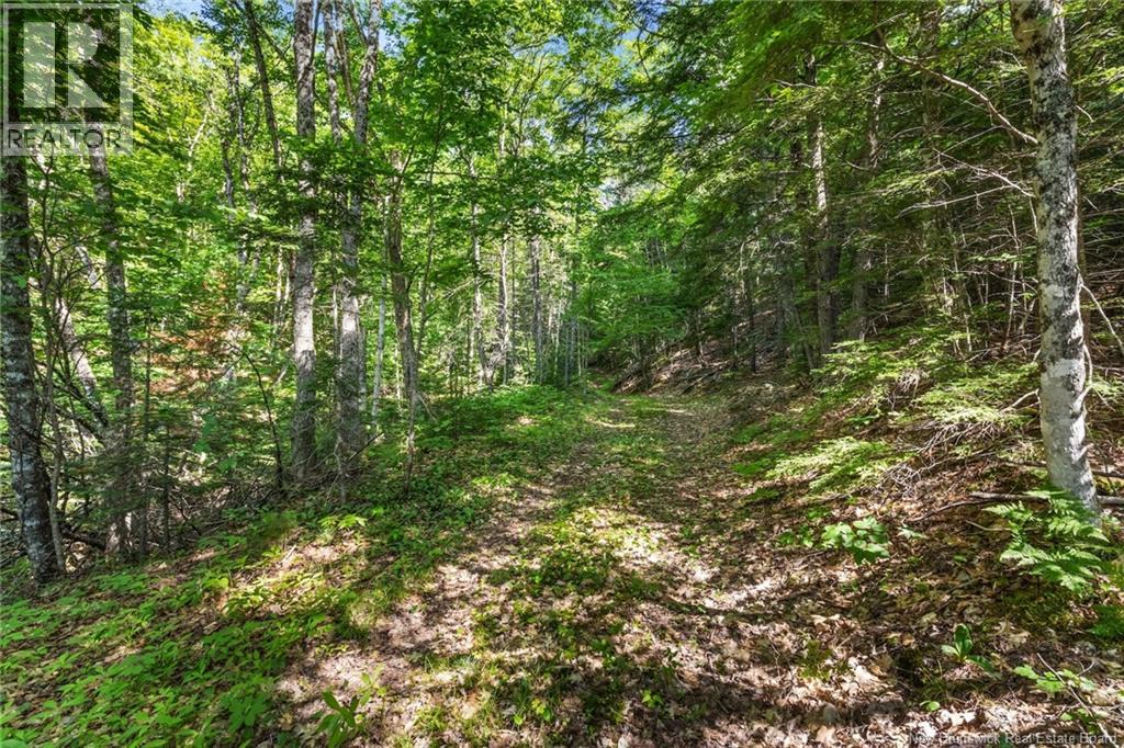 1403 Storeytown Road Property Photo 35