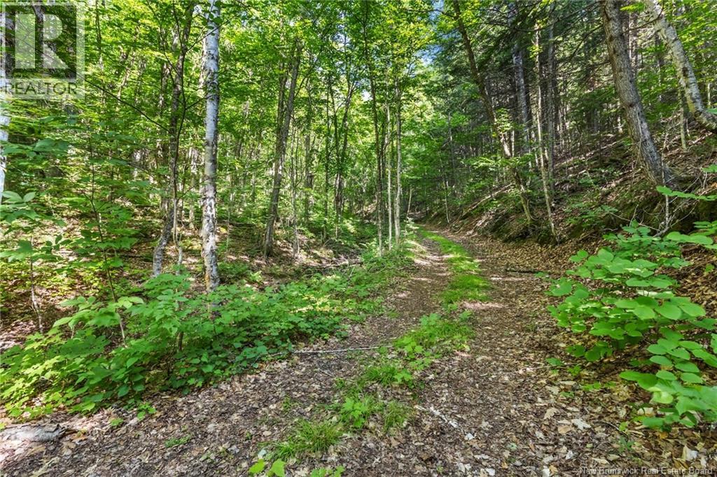 1403 Storeytown Road Property Photo 36