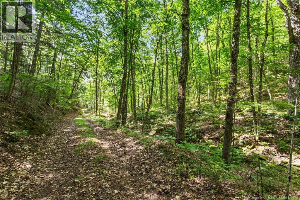 1403 Storeytown Road Property Photo 37