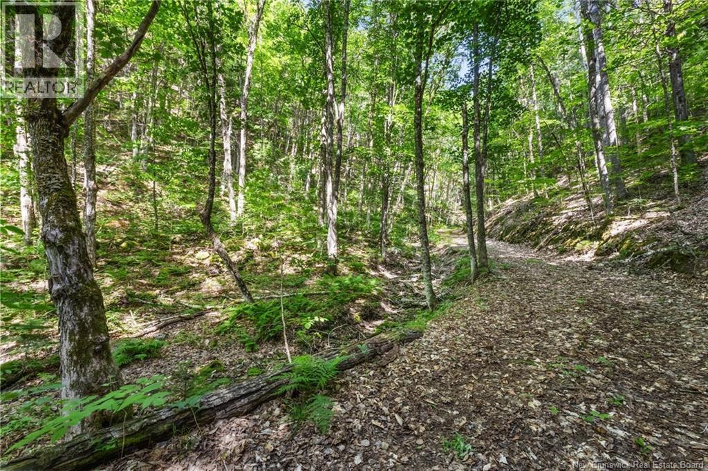 1403 Storeytown Road Property Photo 38