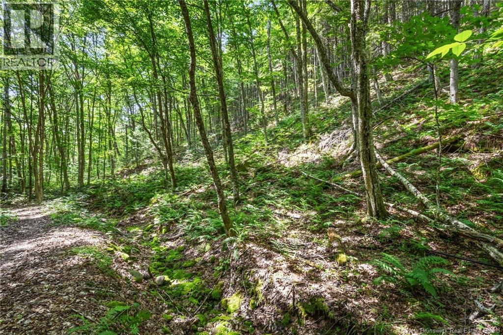 1403 Storeytown Road Property Photo 39