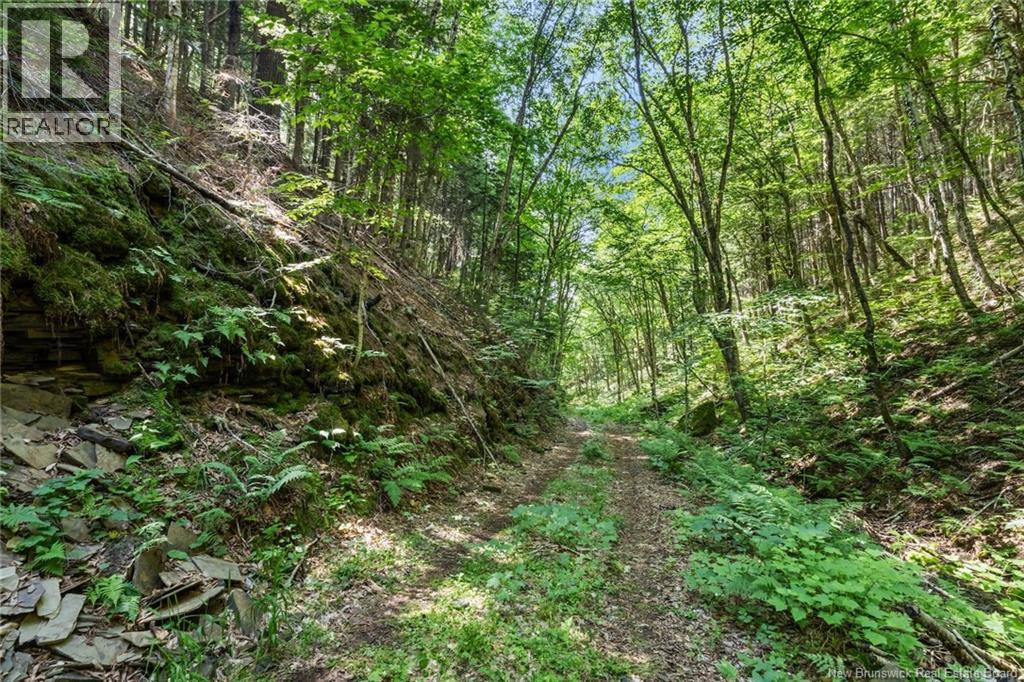 1403 Storeytown Road Property Photo 40