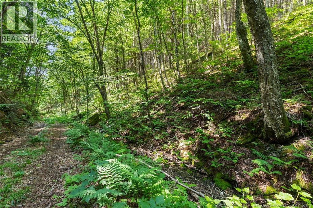 1403 Storeytown Road Property Photo 41