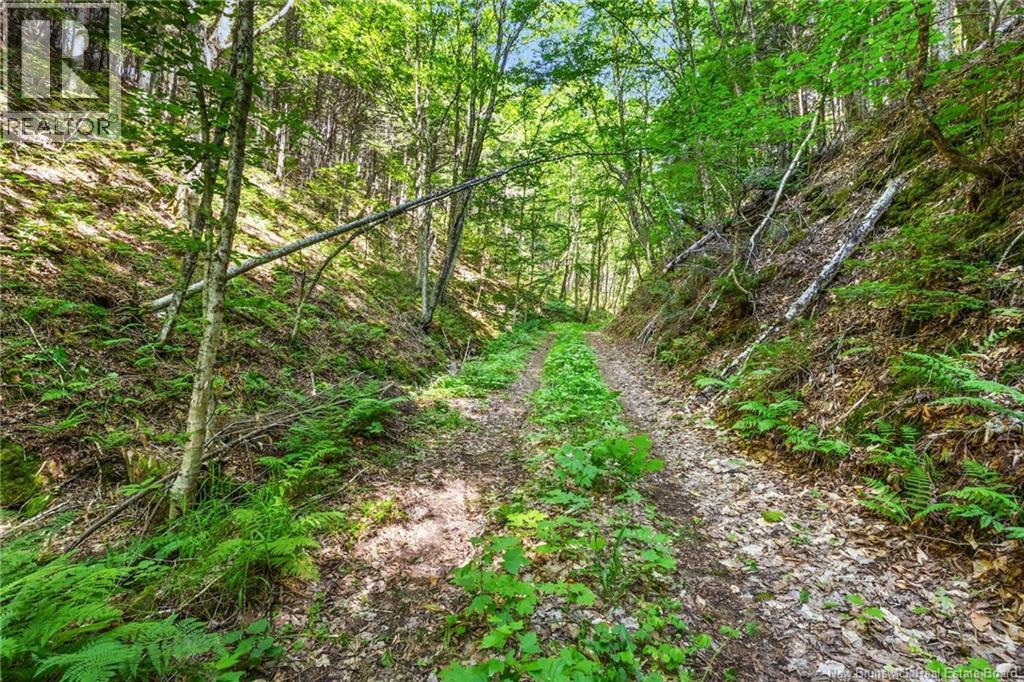 1403 Storeytown Road Property Photo 42