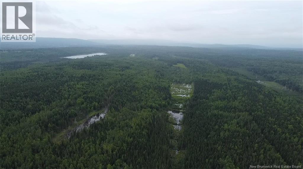 Off Drurys Cove Road Property Photo 3