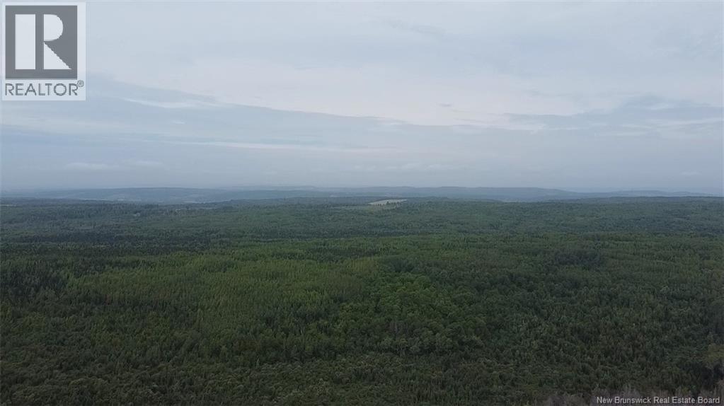 Off Drurys Cove Road Property Photo 6