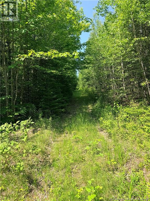 Off Drurys Cove Road Property Photo 8