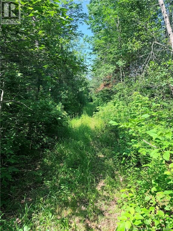 Off Drurys Cove Road Property Photo 11