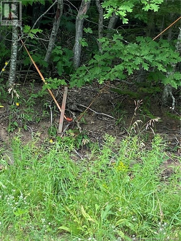 Lot Route 710 Property Photo 22
