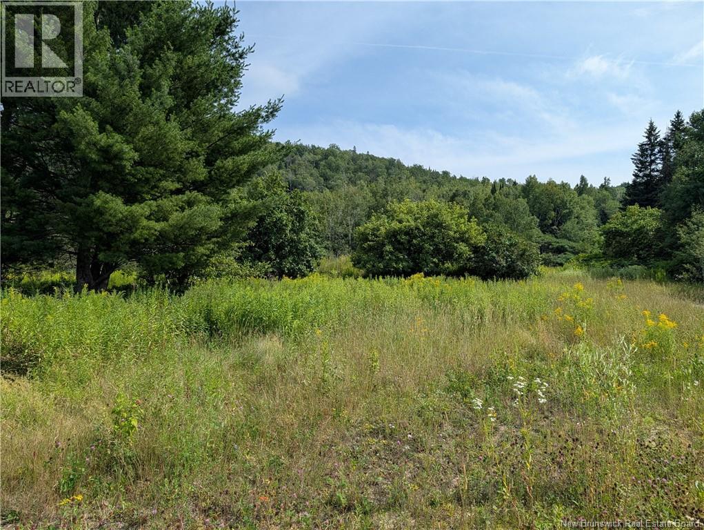 469 Tinker Road Property Photo 3
