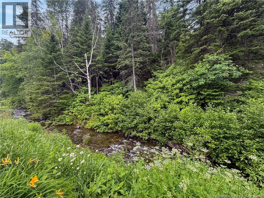 1295 Val D'amour Road Property Photo 26