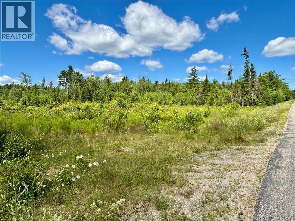 2.24 Acres Mcleod Street Photo de la propriété 1
