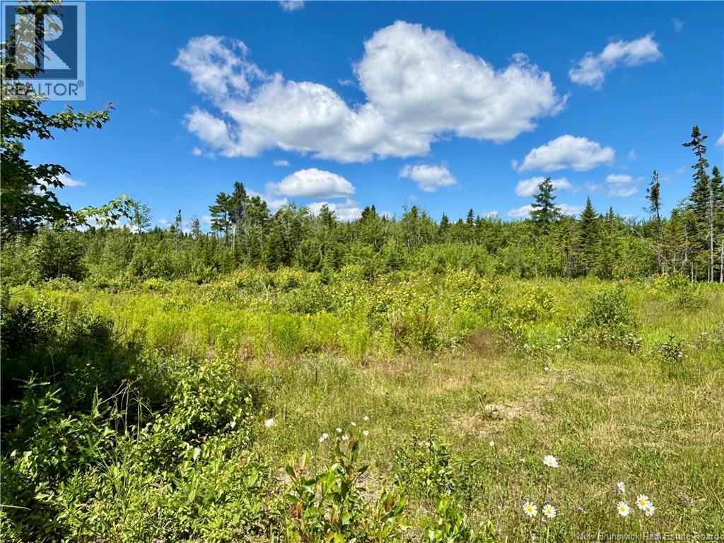 2.24 Acres Mcleod Street Property Photo 2