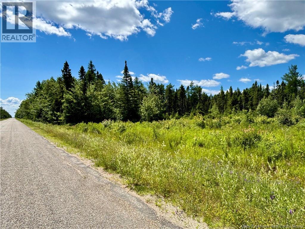 2.24 Acres Mcleod Street Property Photo 3