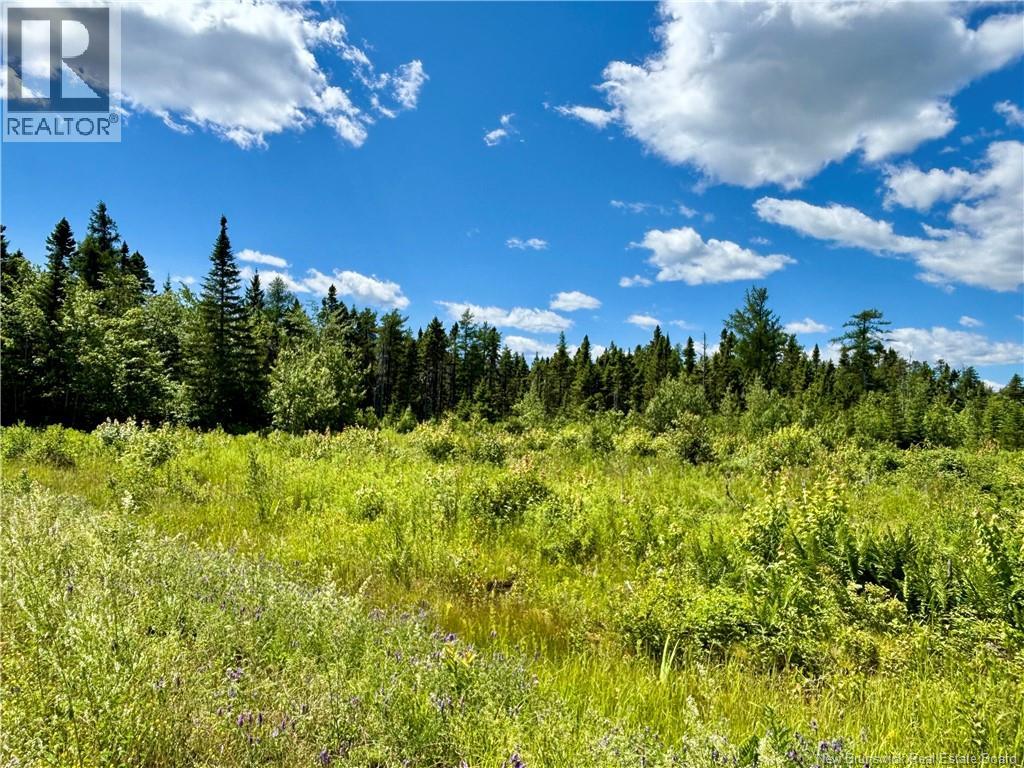 2.24 Acres Mcleod Street Property Photo 4