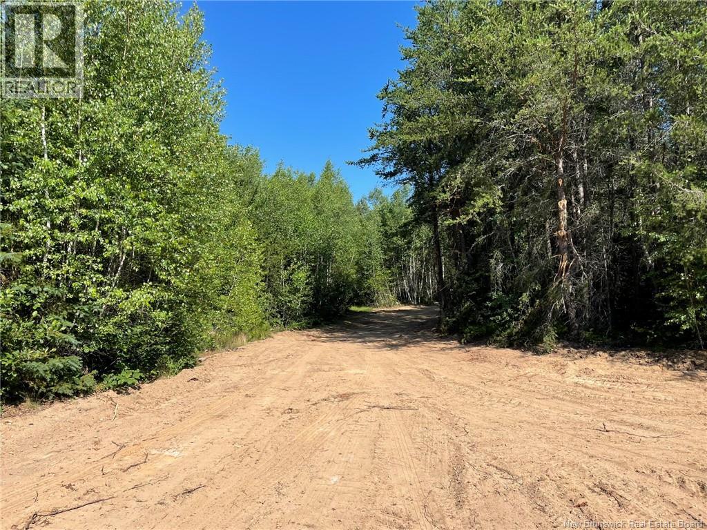 Lot Richard Hill Road Property Photo 2