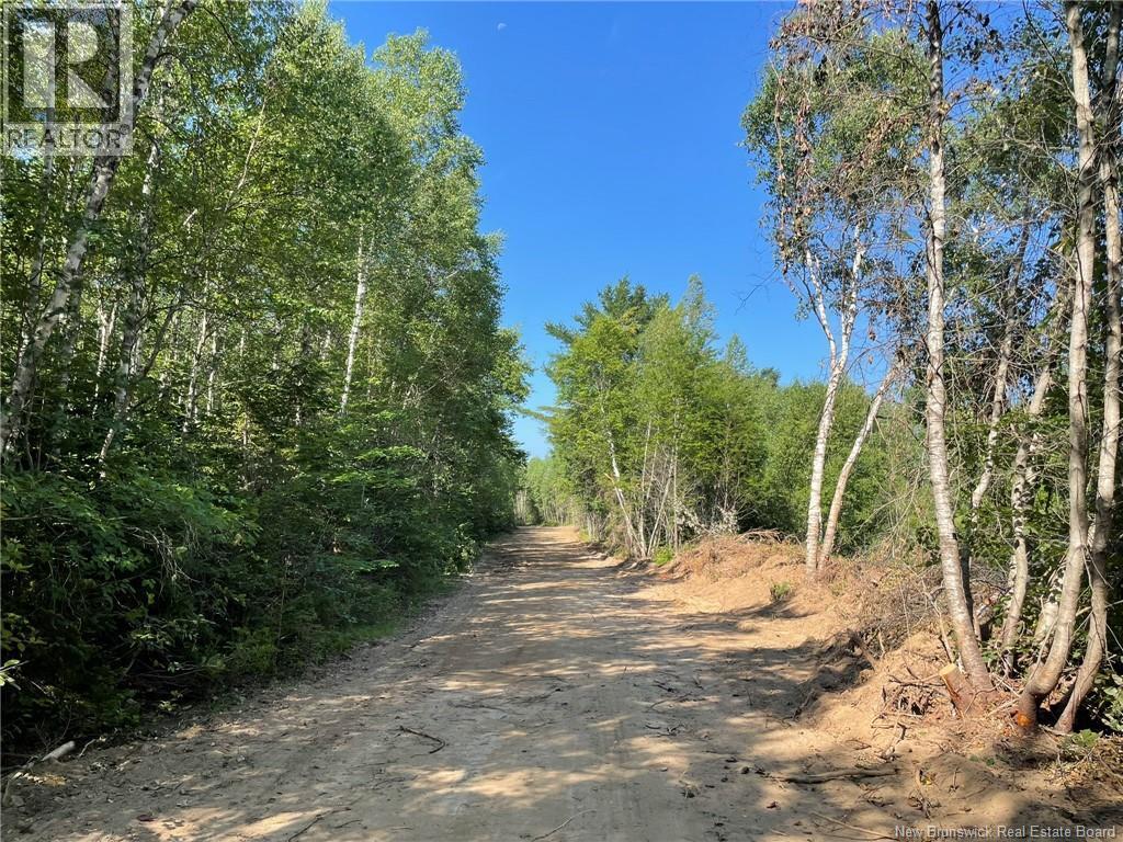 Lot Richard Hill Road Property Photo 6