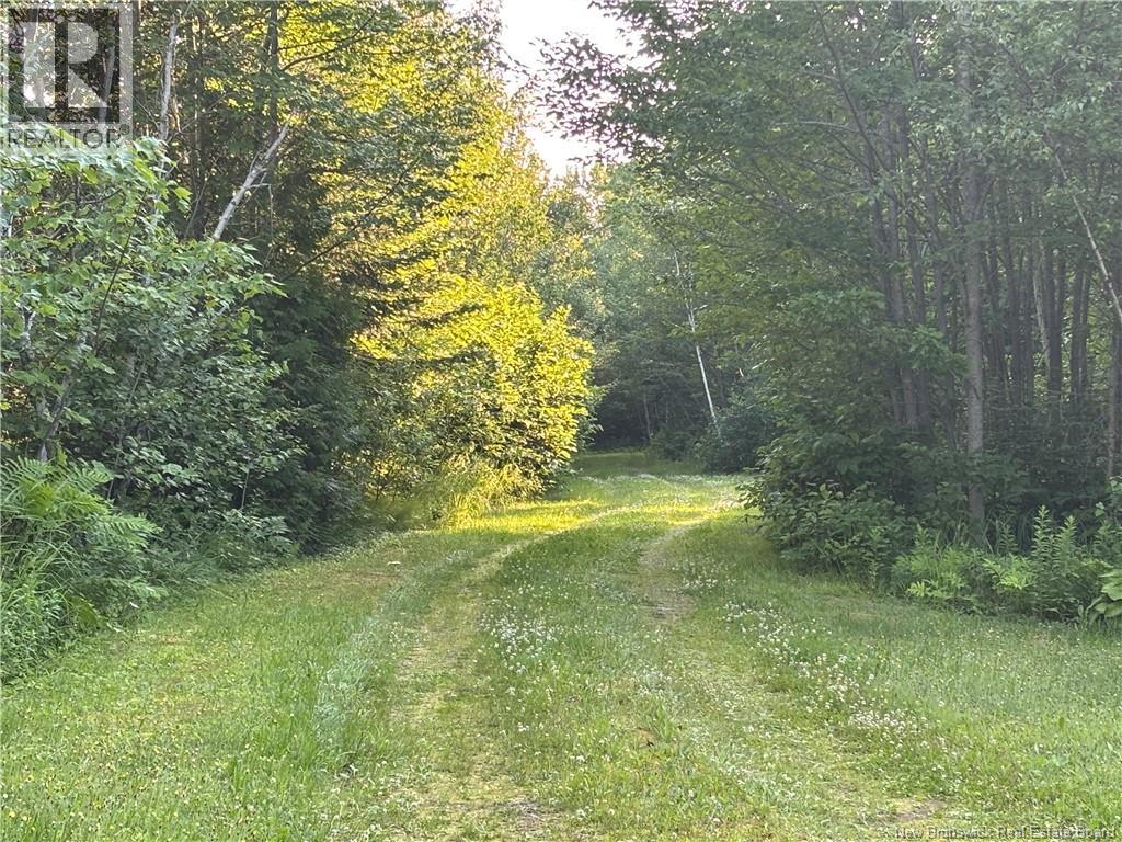848 C+b Rue Principale Property Photo 7