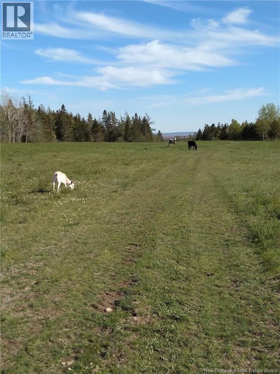 5039 Route 114 Property Photo 48