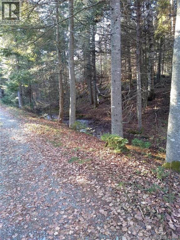 5039 Route 114 Property Photo 49