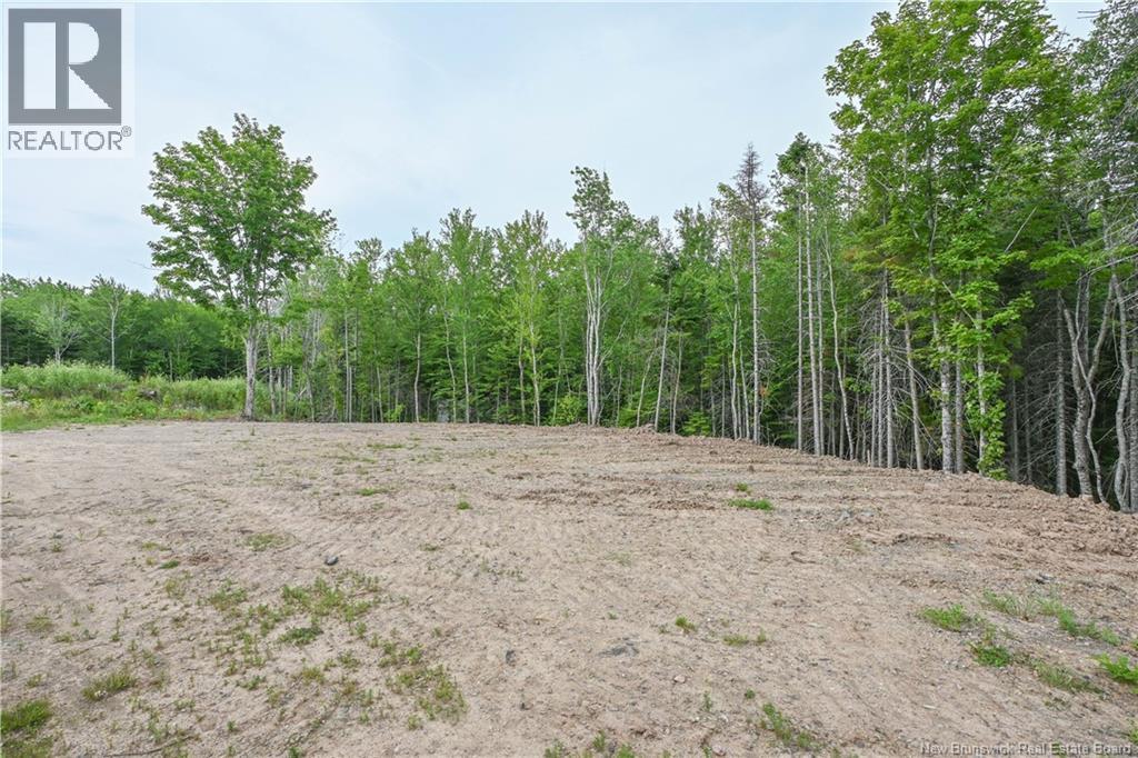 Lot Du Parc Street Property Photo 4