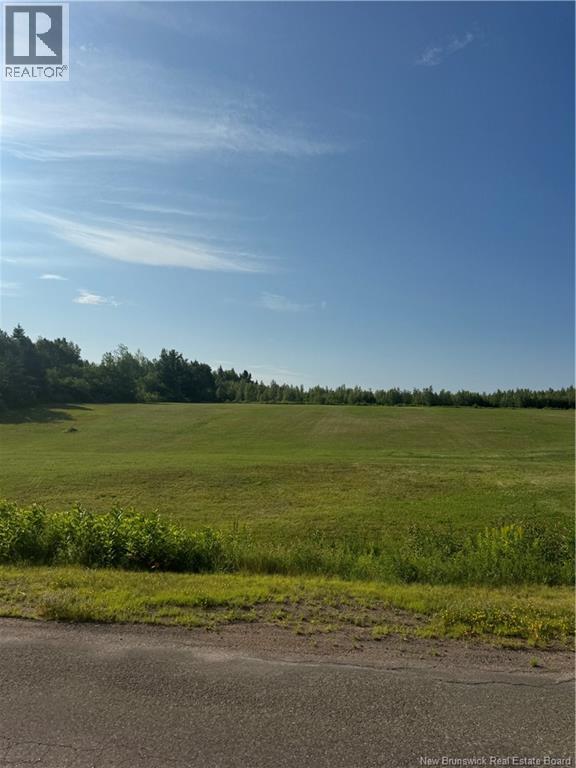 Lot 26-2 Ch Saint-ignace Property Photo 3