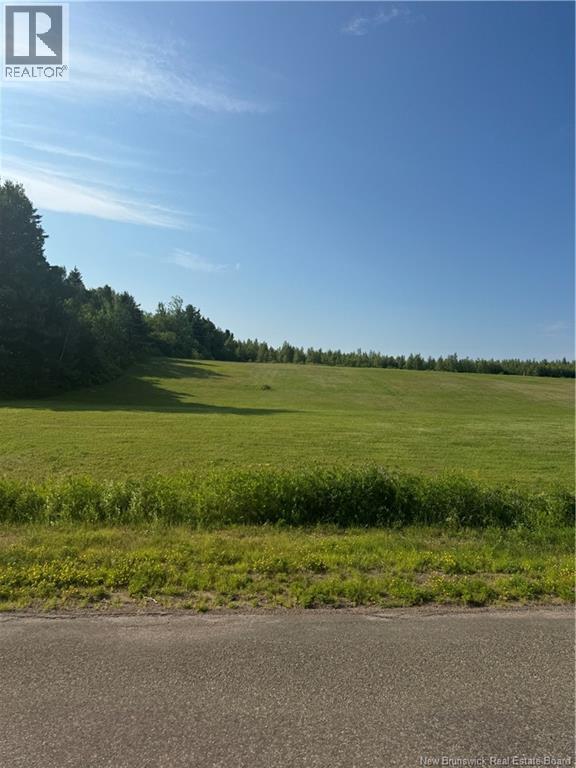 Lot 26-2 Ch Saint-ignace Property Photo 4