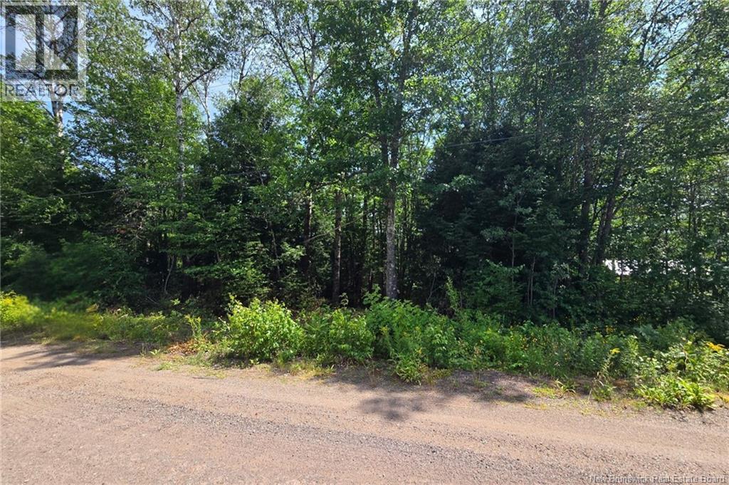 Lot Elm Hill Road Property Photo 16