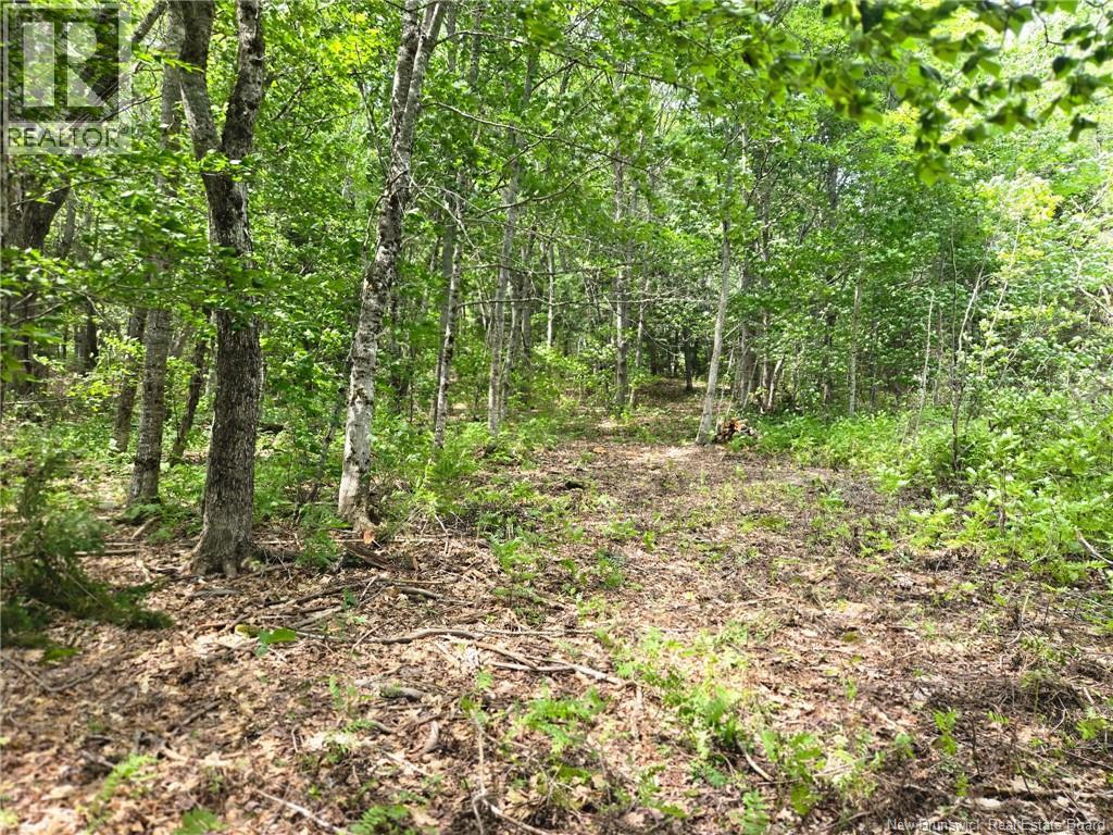 Lot Elm Hill Road Property Photo 17